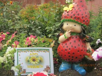 ���� ������ ����