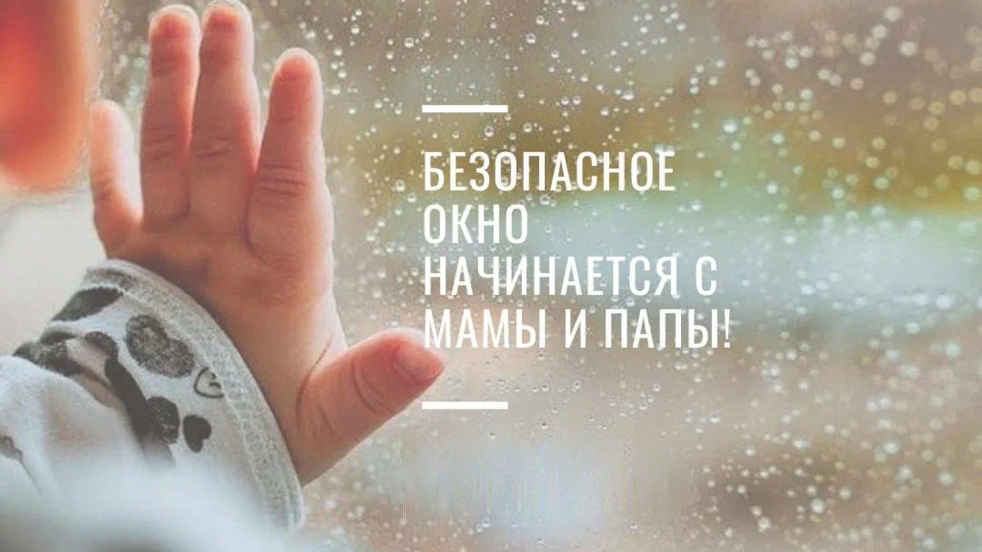 ����� "���������� ����"